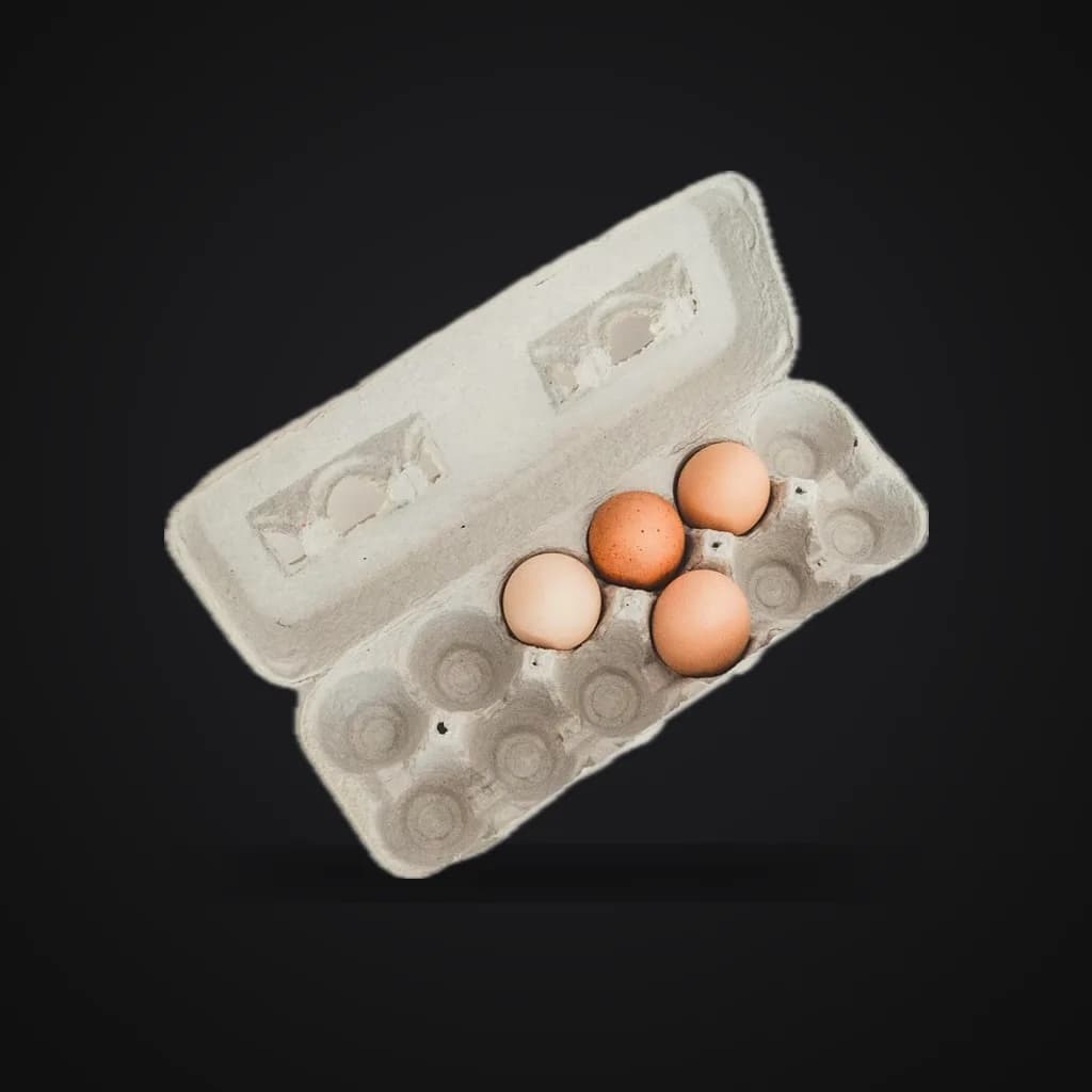Egg carton, reference image
