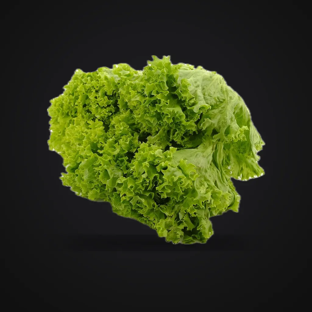 Lettuce, reference image