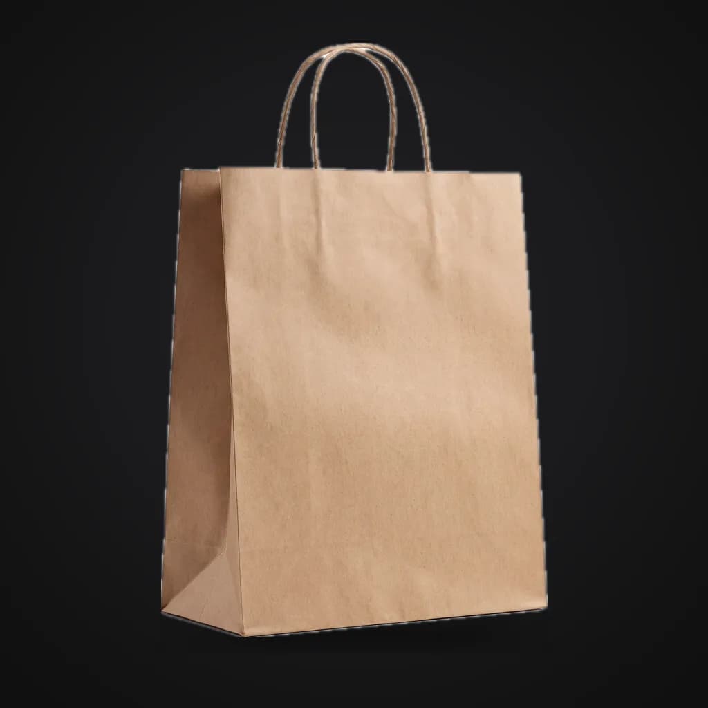Paper shopping bag, reference image