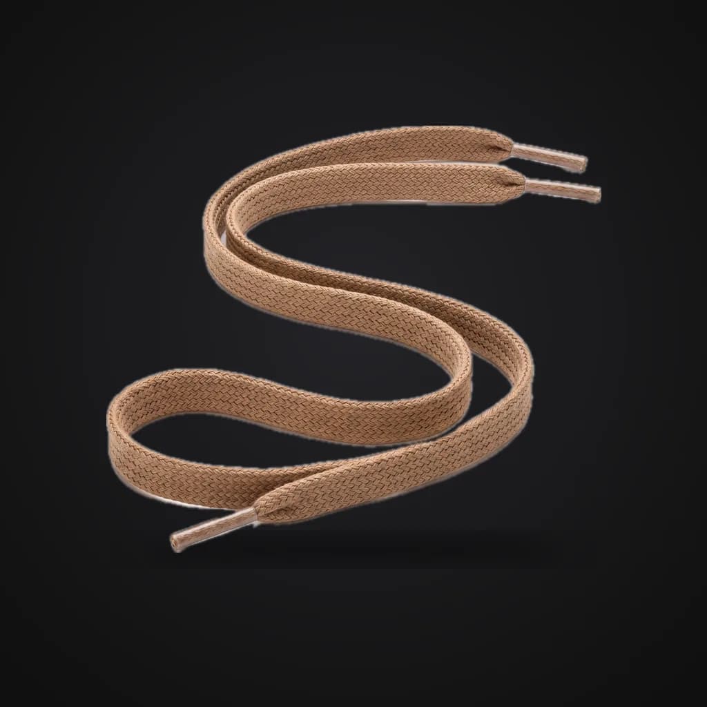 Shoelace, reference image