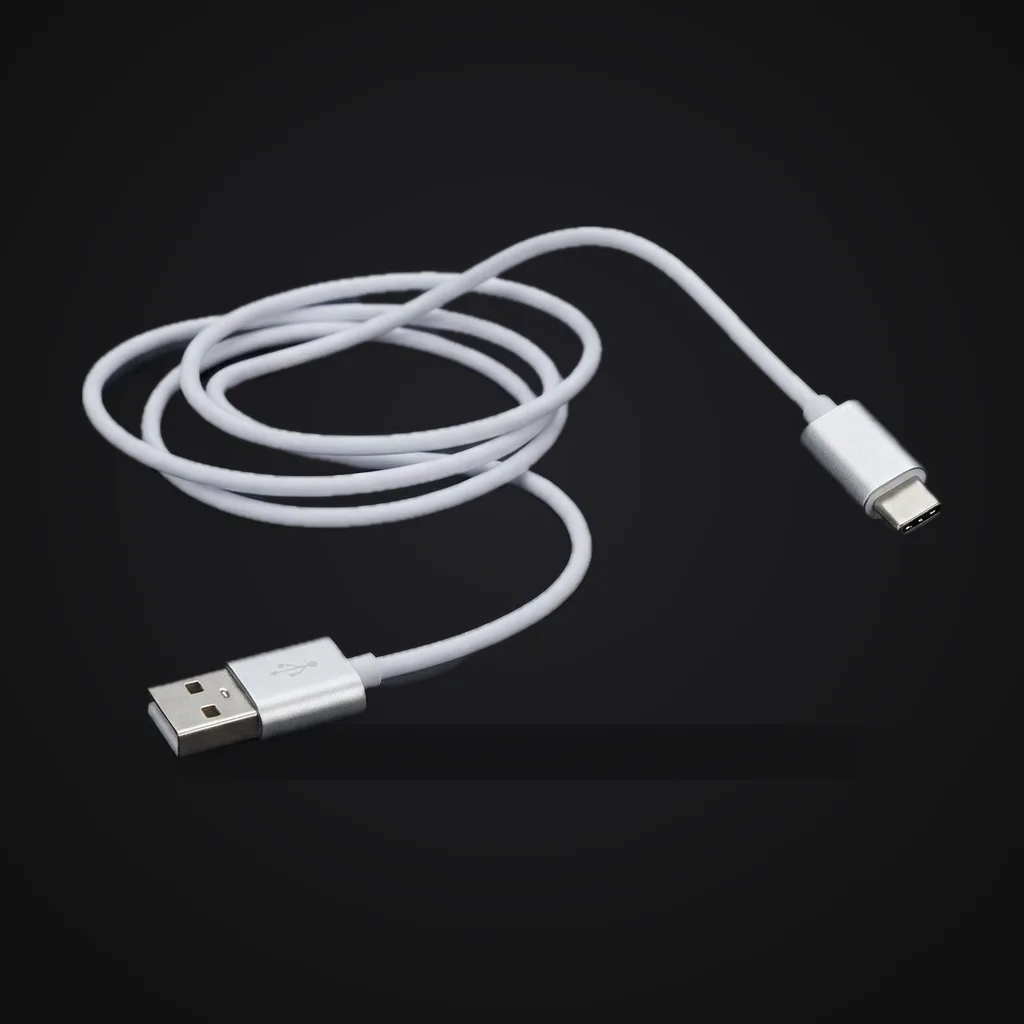 USB-C cable, reference image